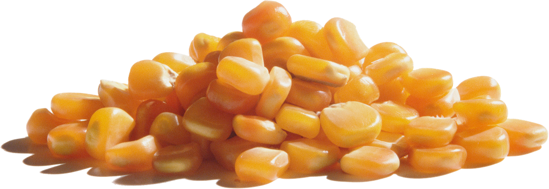 Wabash Valley Farms Popcorn